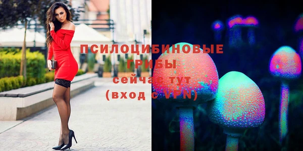 первитин Богданович